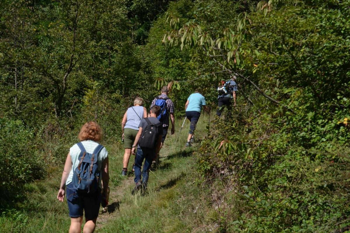 Rielingerhof 03.09.2019